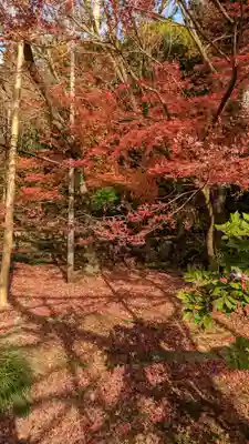 龍安寺(京都府)