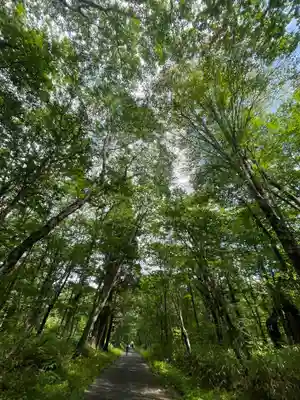 戸隠神社奥社の周辺