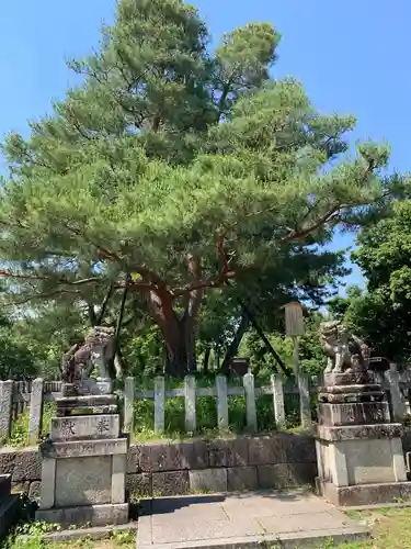 北野天満宮の庭園