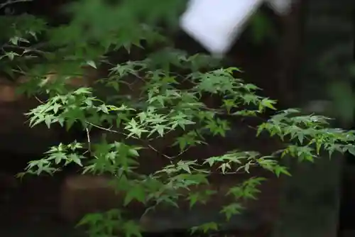 滑川神社 - 仕事と子どもの守り神の自然