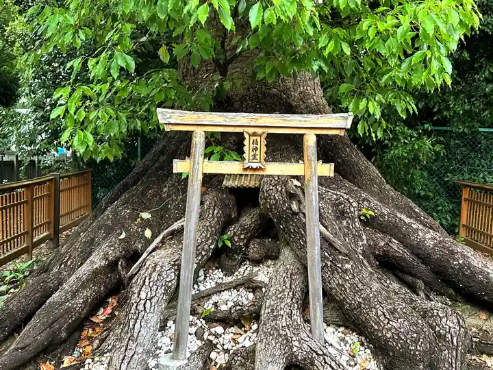 和泉國一之宮 大鳥大社(大阪府)