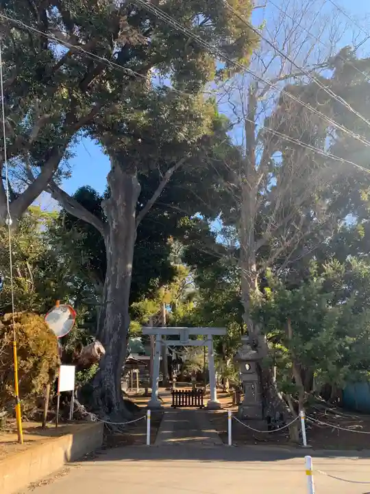 神明大神社の鳥居