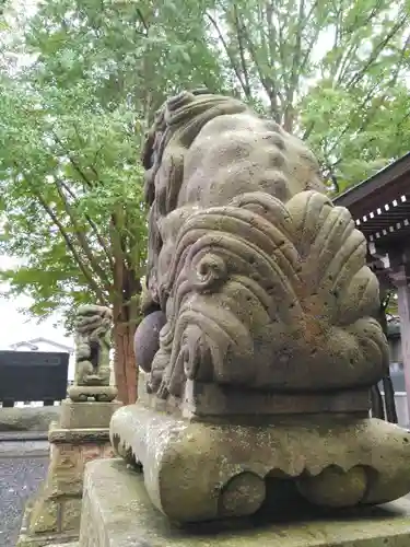 熊野福藏神社の狛犬