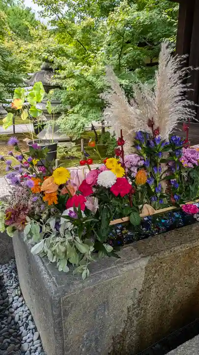 勝林寺(京都府)