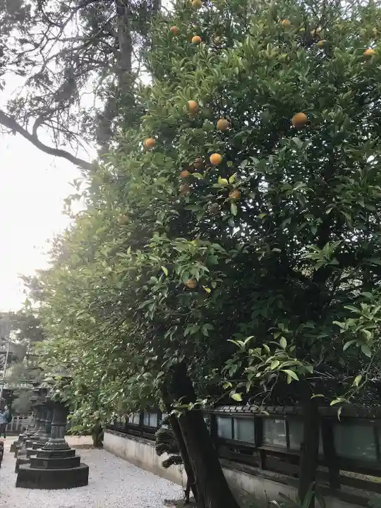 上野東照宮(東京都)