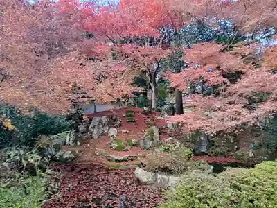 金剛院(京都府)