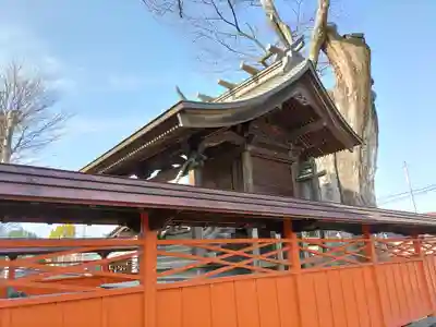 橘神社(埼玉県)