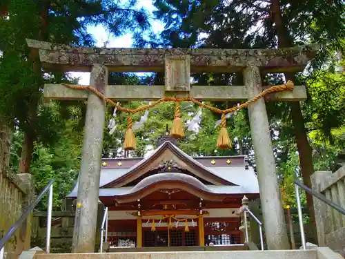 大宮五十鈴神社の鳥居