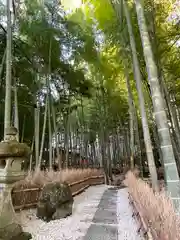 報国寺(神奈川県)