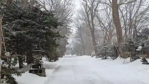 信濃神社の景色