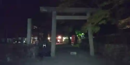 椿大神社の鳥居