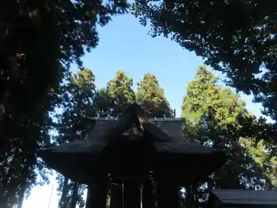 羽黒神社(山形県)