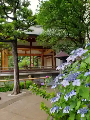鳩森八幡神社(東京都)