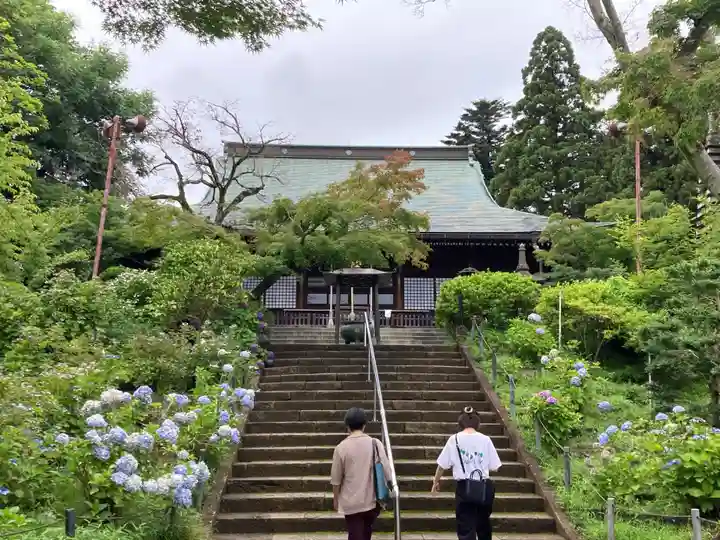 本土寺(千葉県)