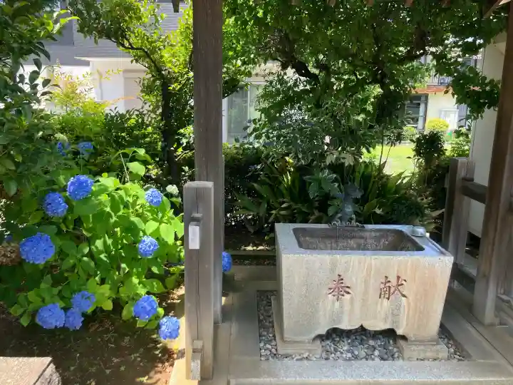 醫藥神社(神奈川県)