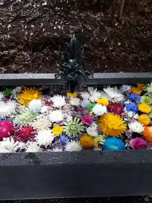 下野 星宮神社の手水舎