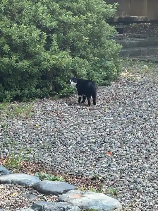 岩手護國神社(岩手県)