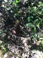 白山神社の自然