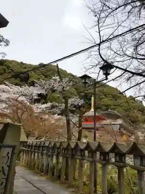 朝護孫子寺(奈良県)