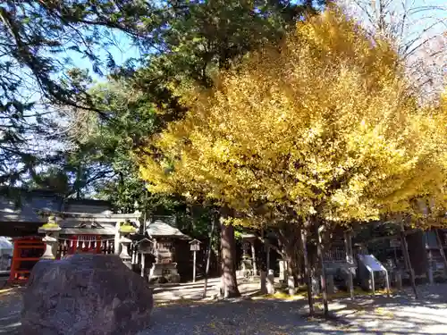 秩父神社のその他建物