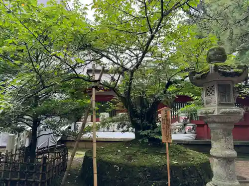 香取神宮(千葉県)