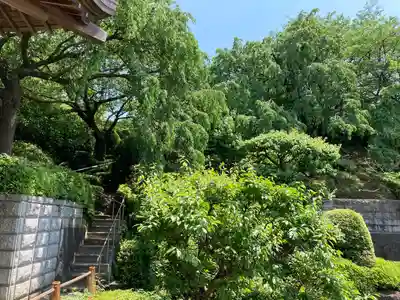 林光寺(神奈川県)