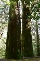 河内神社(高知県)
