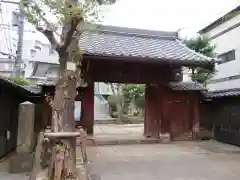 根生院の山門