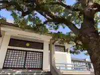 安楽寺の本殿・本堂