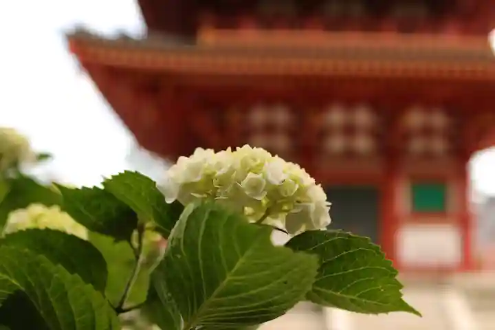 高幡不動尊 金剛寺のその他建物