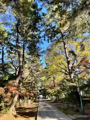 東漸寺(千葉県)
