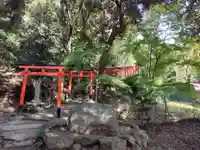 二葉姫稲荷神社の鳥居