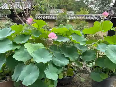 當麻寺 西南院(奈良県)