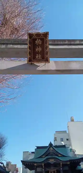 柏神社(千葉県)