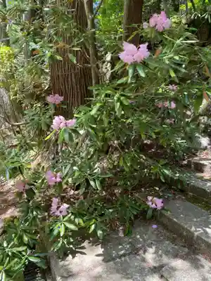 成相寺(京都府)