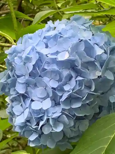 大正寺(中野不動尊)(福島県)