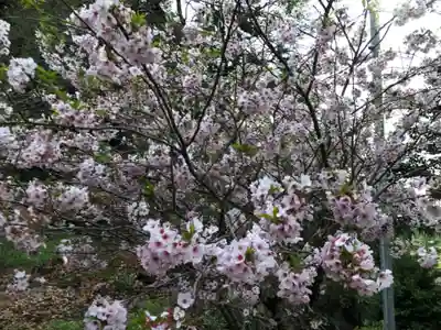 奈具神社の自然