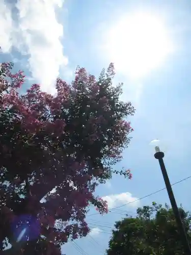 真光寺(千葉県)