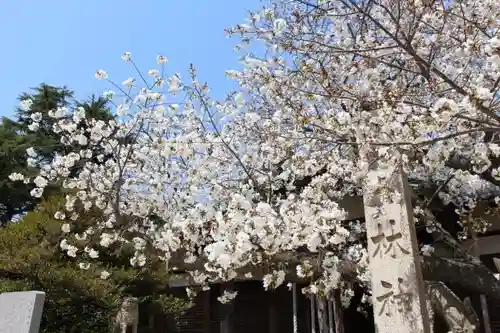 林神社のその他建物