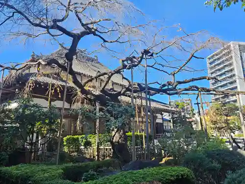 圓蔵寺(埼玉県)