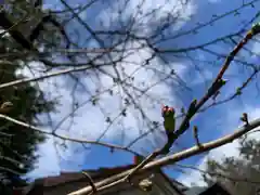 滑川神社 - 仕事と子どもの守り神(福島県)