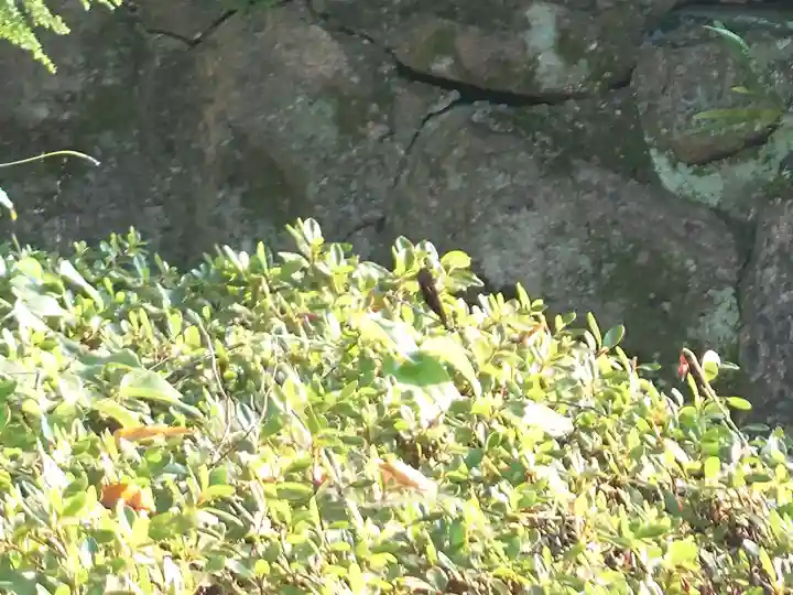 速谷神社(広島県)