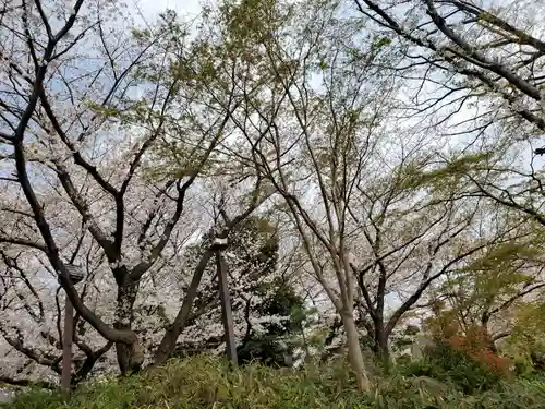 七社神社の自然