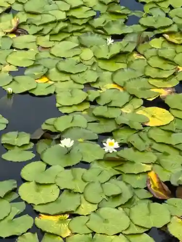常楽寺(兵庫県)