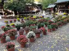 平塚八幡宮(神奈川県)