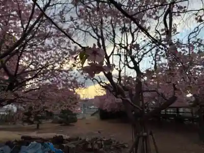 東雷神社(千葉県)