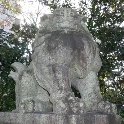 晴明神社の狛犬