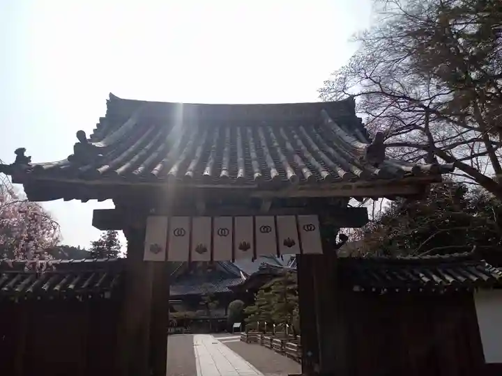 長谷寺(奈良県)