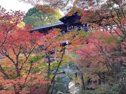 東福禅寺（東福寺）(京都府)