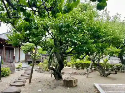 地福寺(神奈川県)